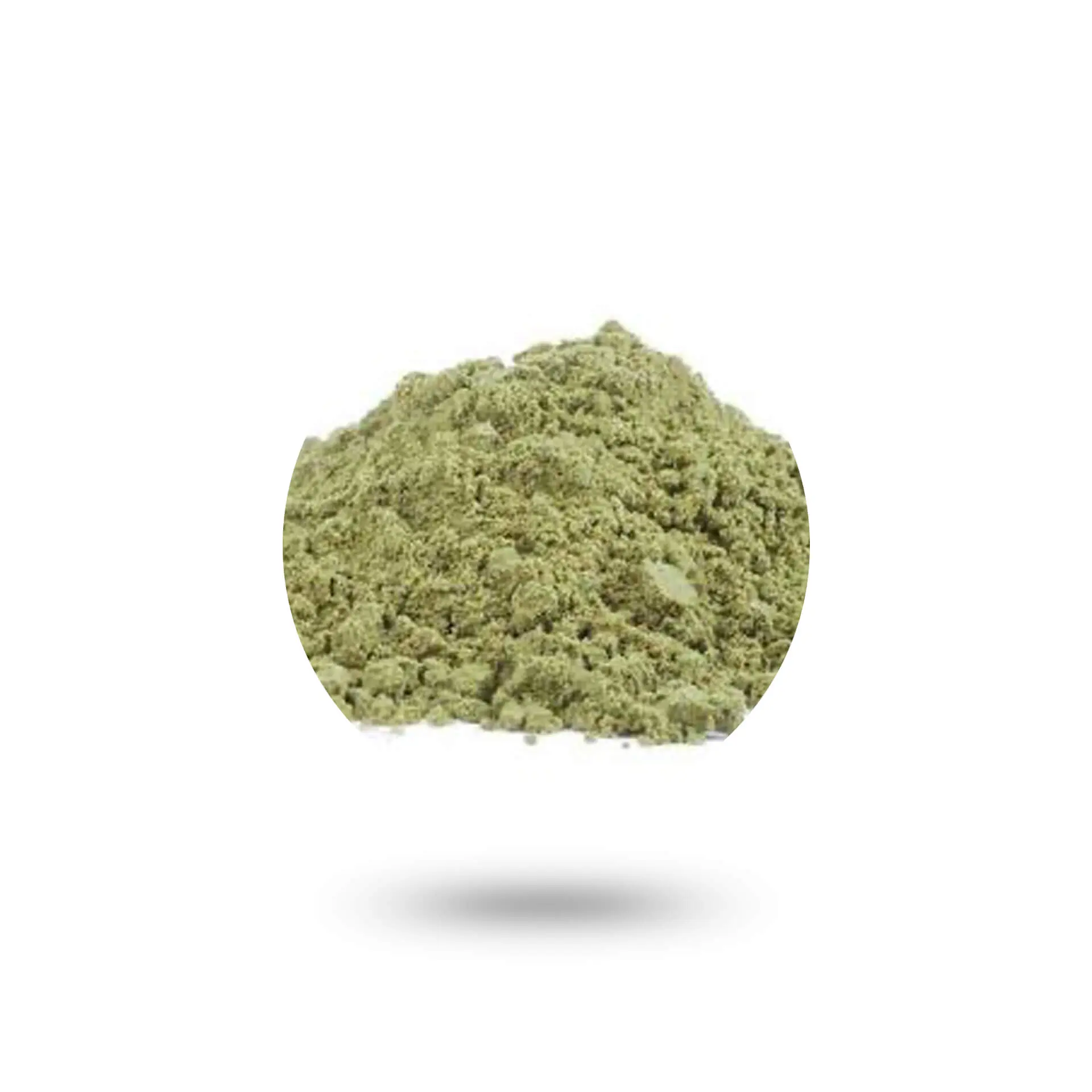 Aloe Vera Powder 200X
