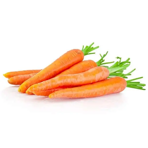 Καροτέλαιο - (carrot oil) - Image 3