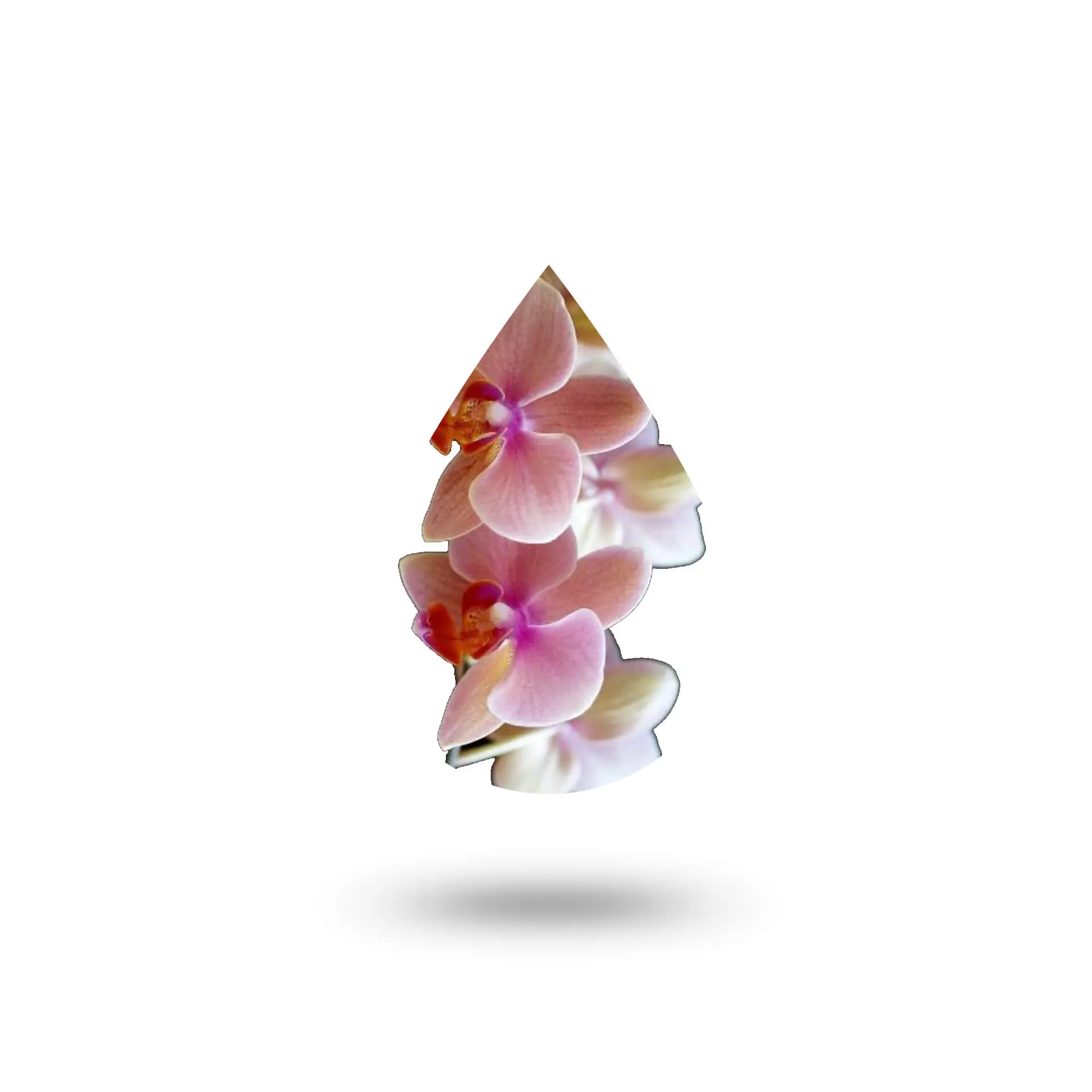 Άρωμα Ορχιδέα 50ml