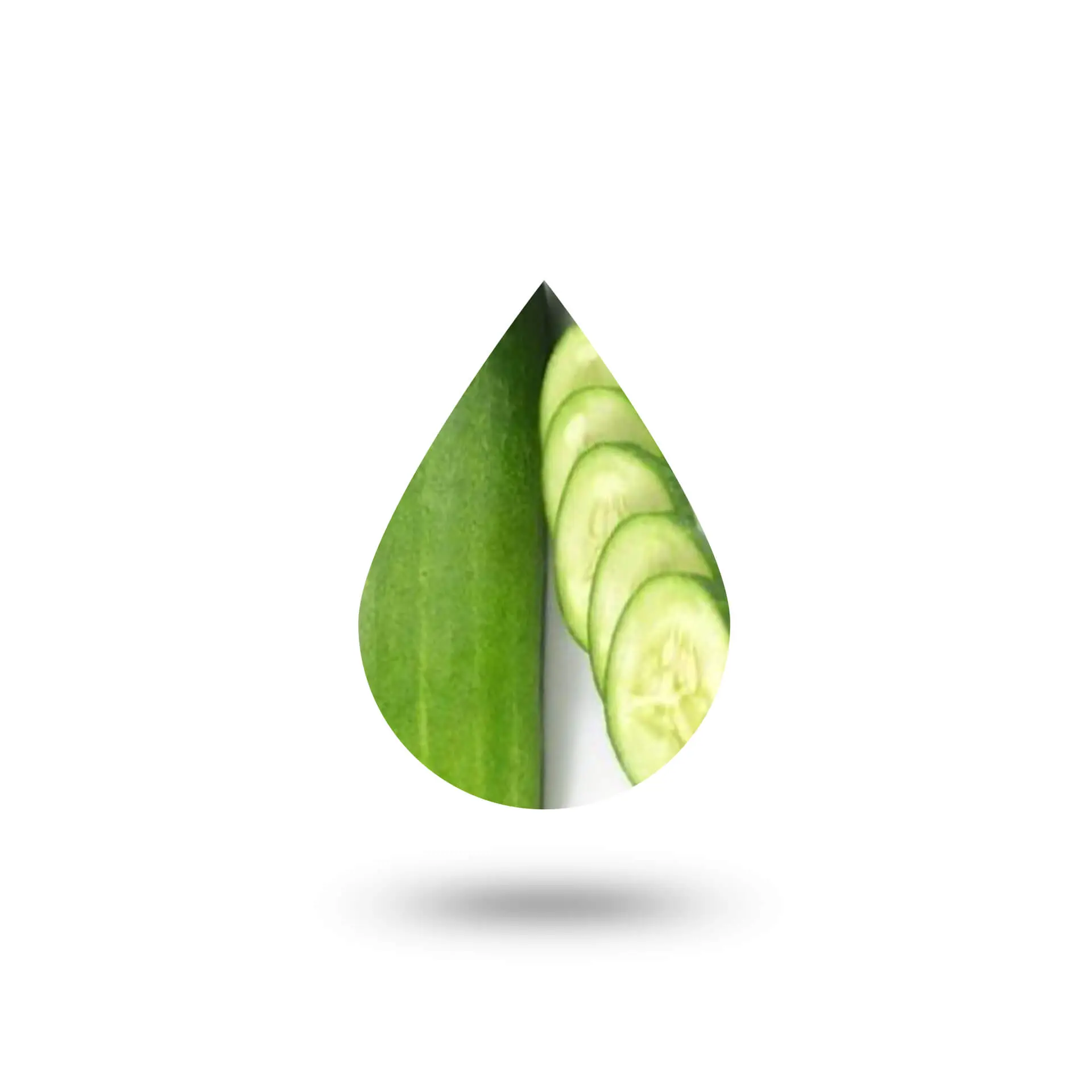 Αγγούρι Ανθόνερο