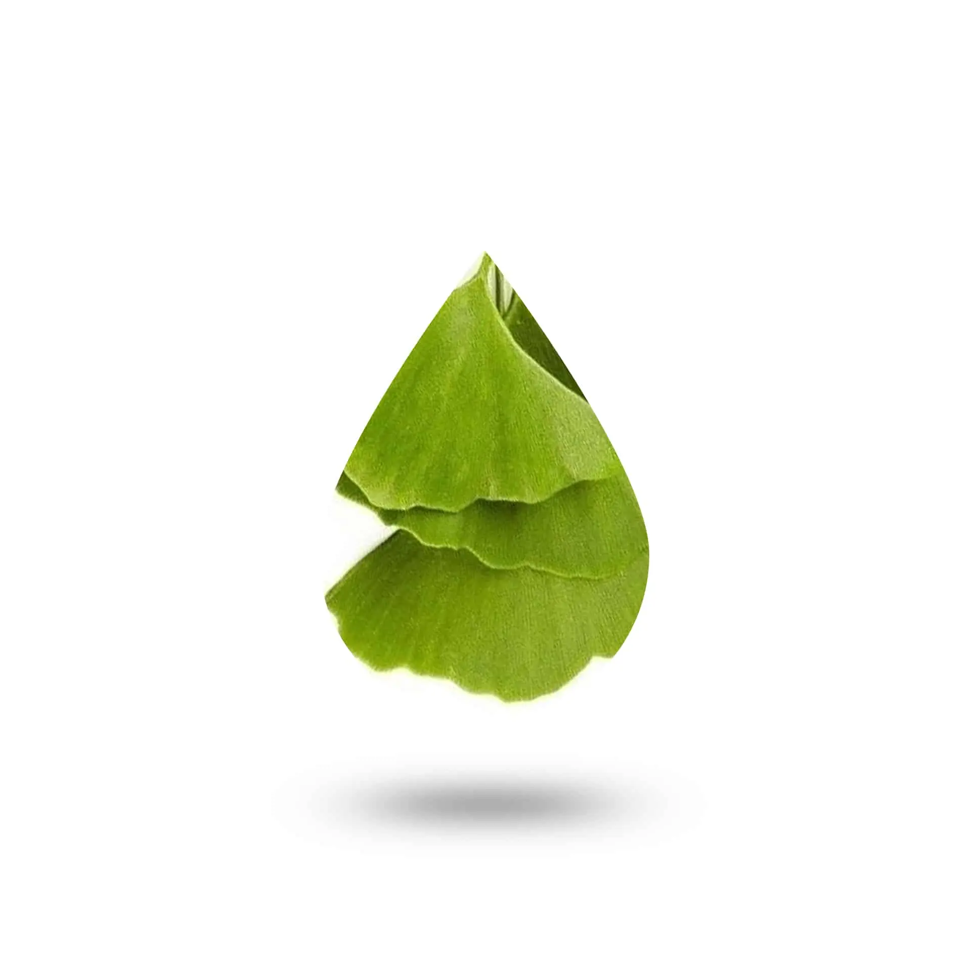 Γκίνγκο Μπιλομπα 30ml