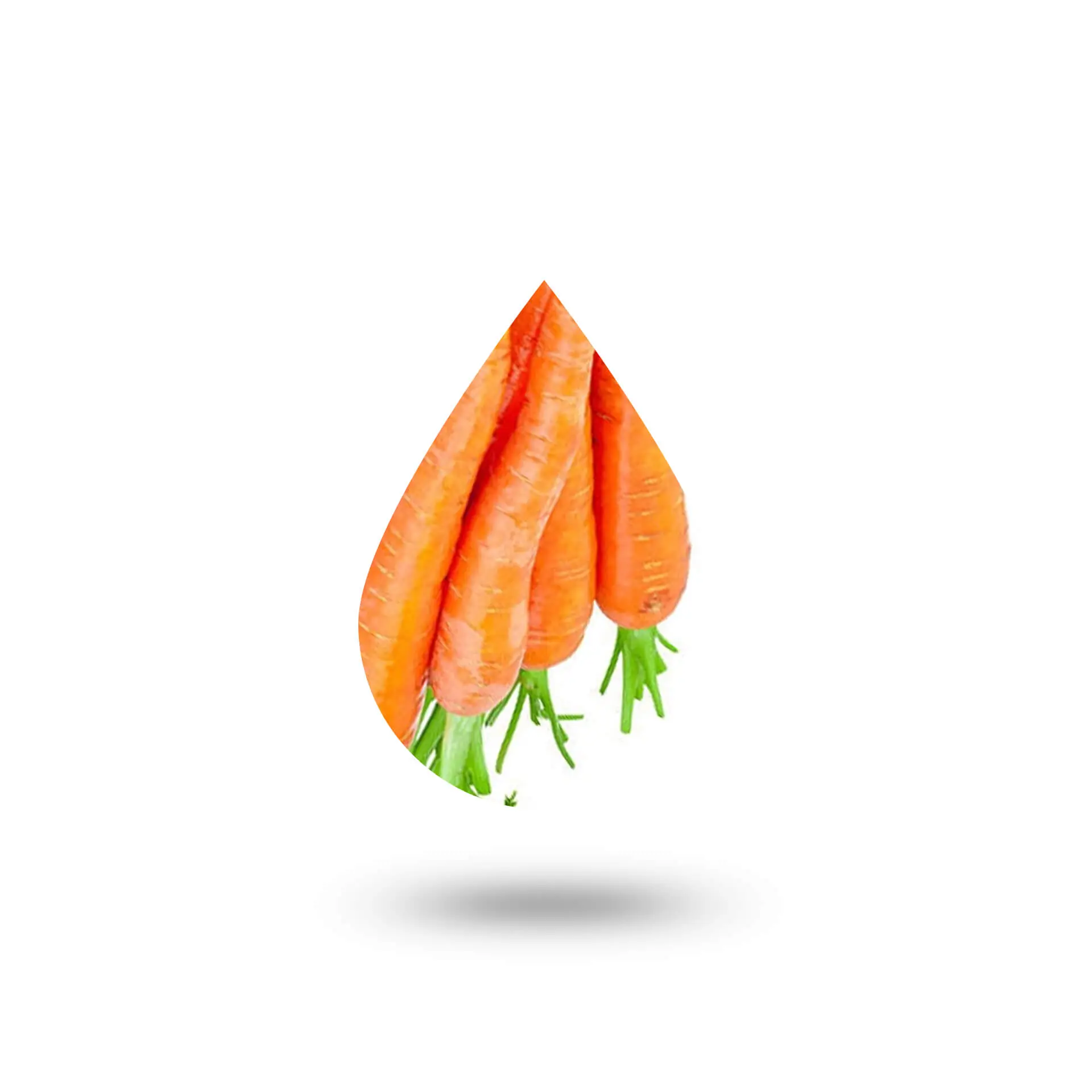 Καροτέλαιο - (carrot oil)