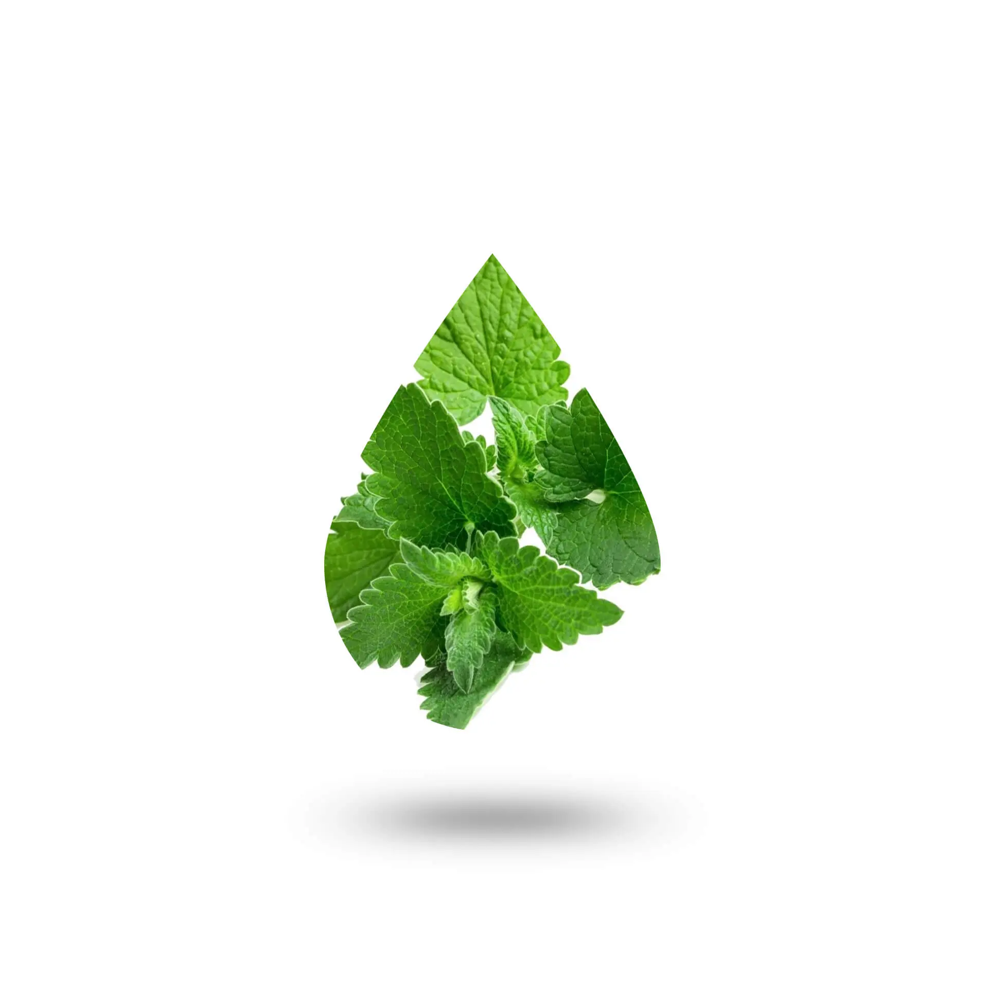 Πατσουλί - Patchouli oil