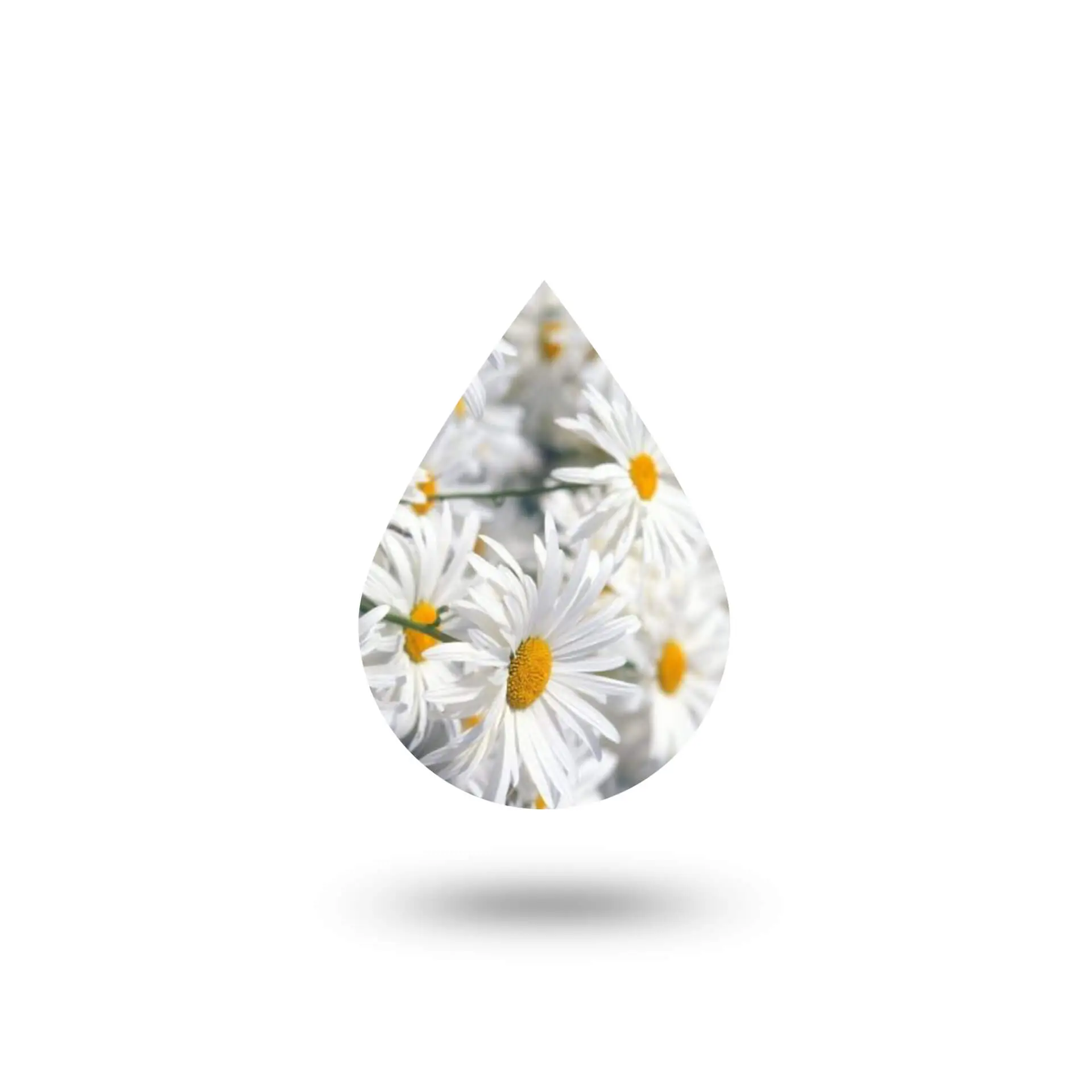 Χαμομήλι Ανθόνερο