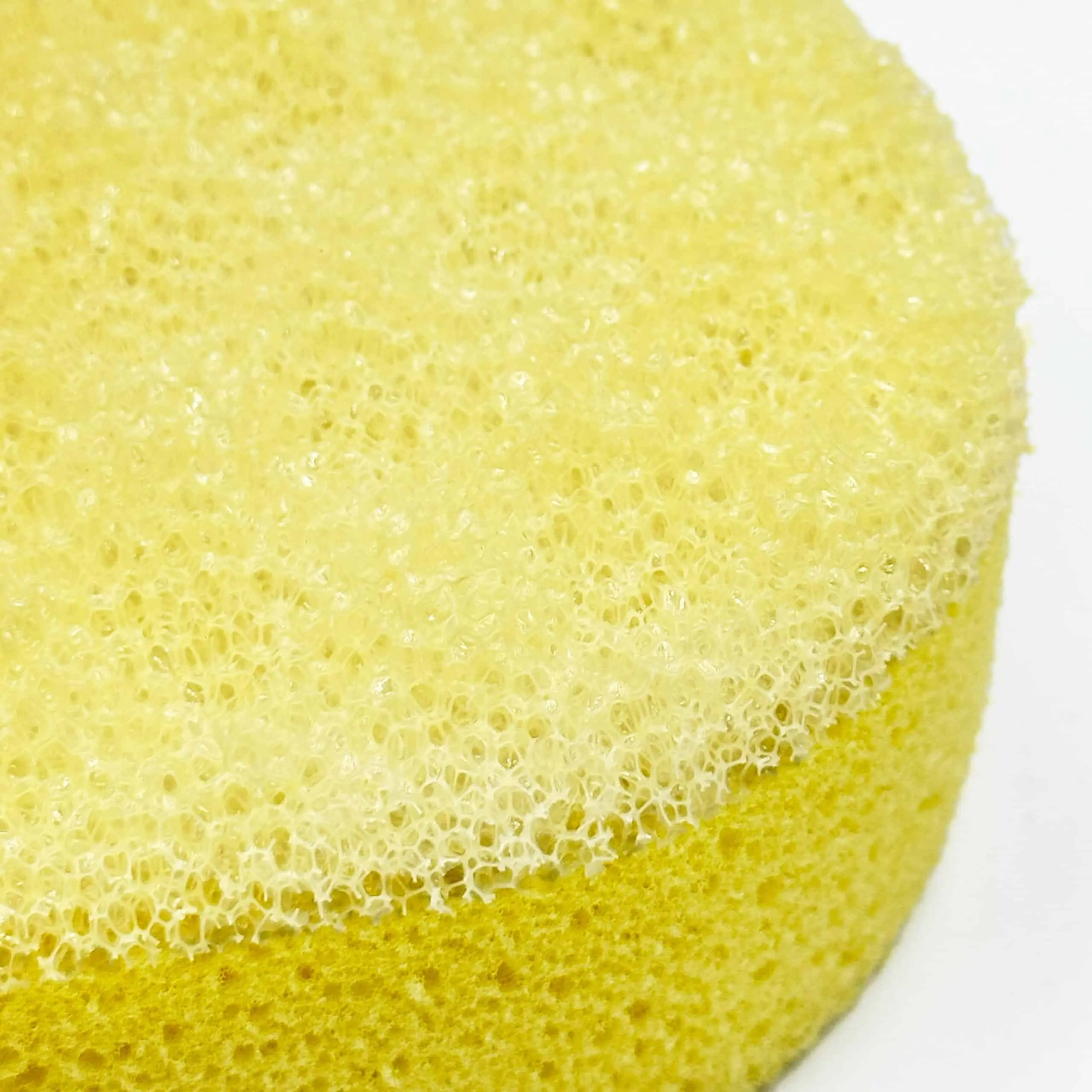 Σφουγγάρι Καθημερινής Χρήσης 2σε1 - 2in1 Family Sponge - Image 2