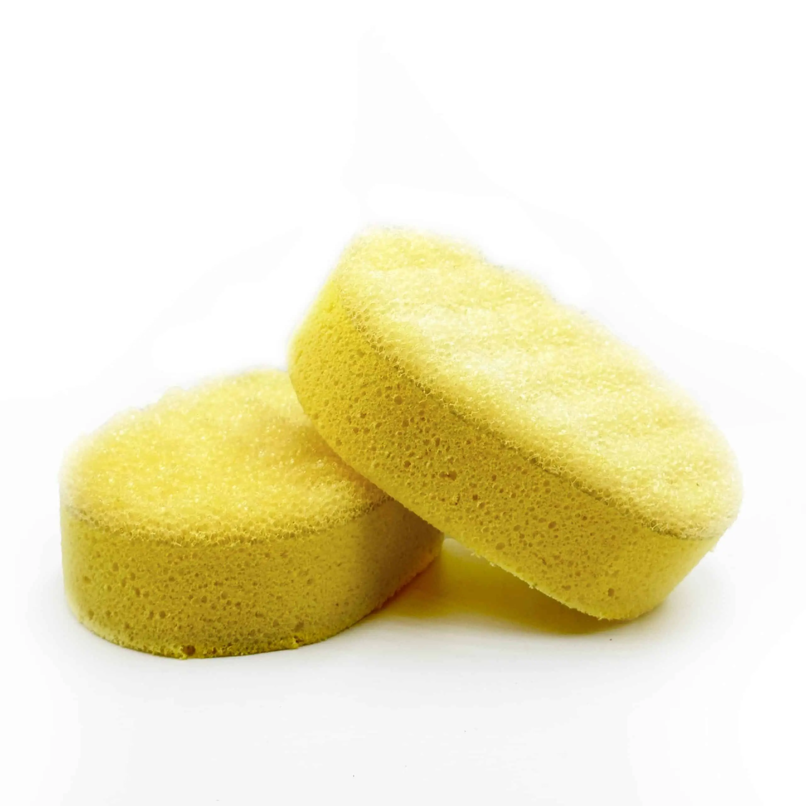 Σφουγγάρι Καθημερινής Χρήσης 2σε1 - 2in1 Family Sponge