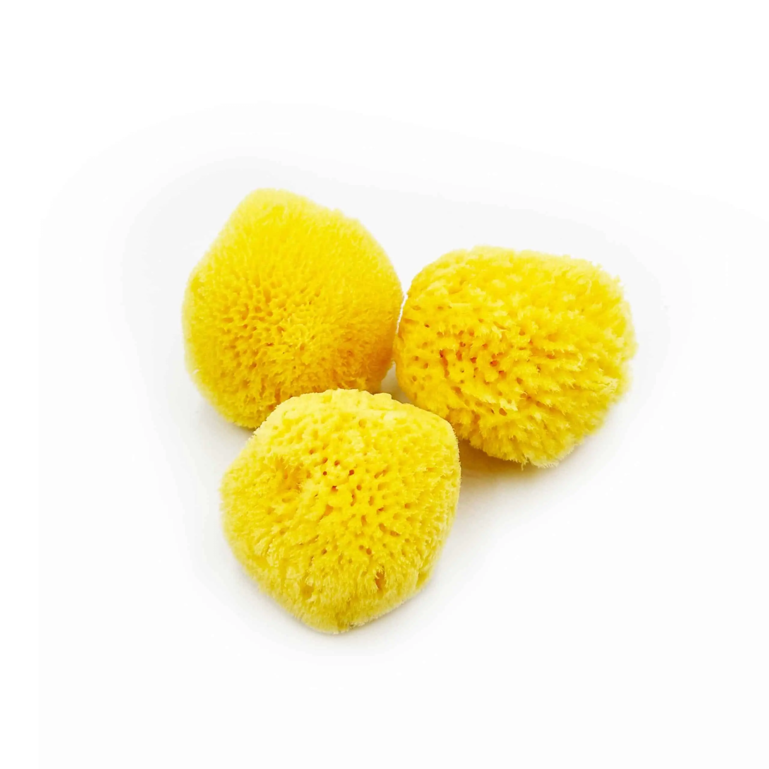 Μικρό Φυσικό Σφουγγάρι "Λούφα" - Small Organic Sponge "Loufa"