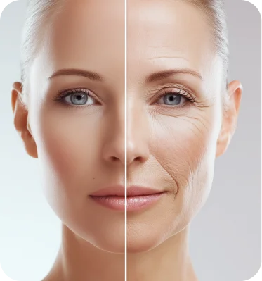 Products based on needs 